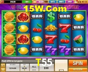 Experiência VIP T55